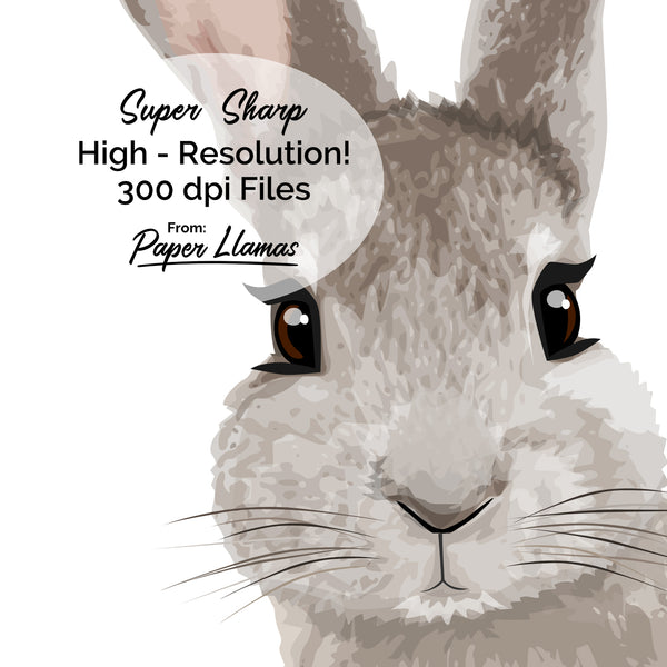 Printable Baby Bunny  - baby nursery artwork from Paper Llamas