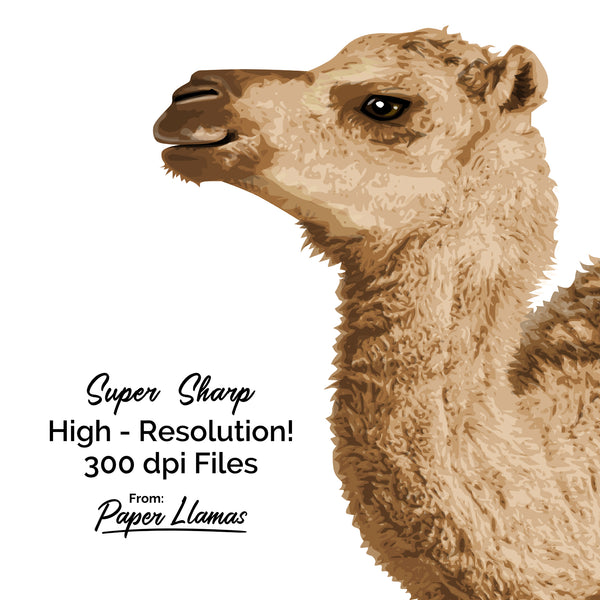 Baby Camel Printable  - baby nursery art from Paper Llamas