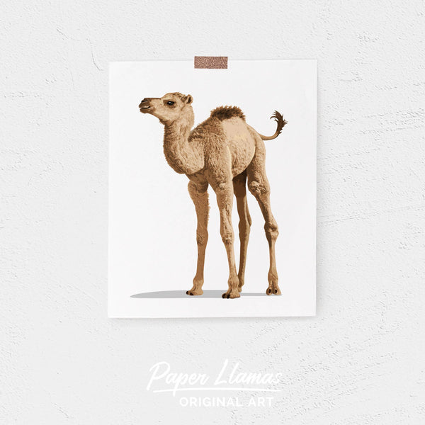 Baby Camel Printable  - baby desert nursery art from Paper Llamas