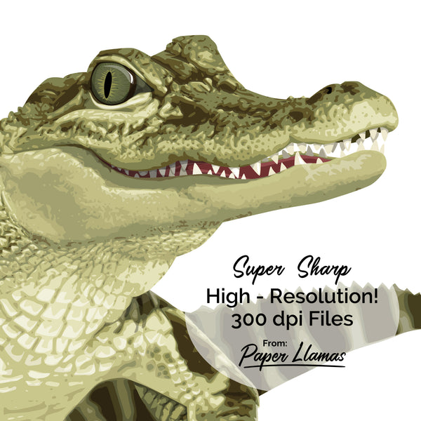 Baby Crocodile Printable  - baby nursery art from Paper Llamas