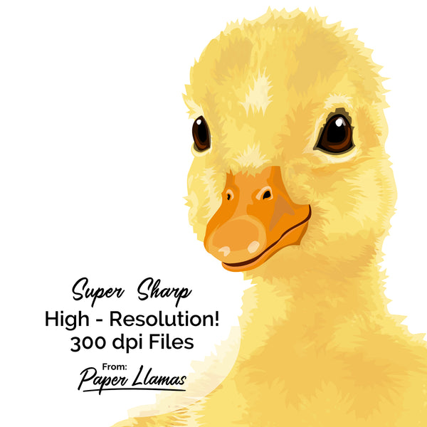 Baby Duck Printable  - baby nursery art from Paper Llamas