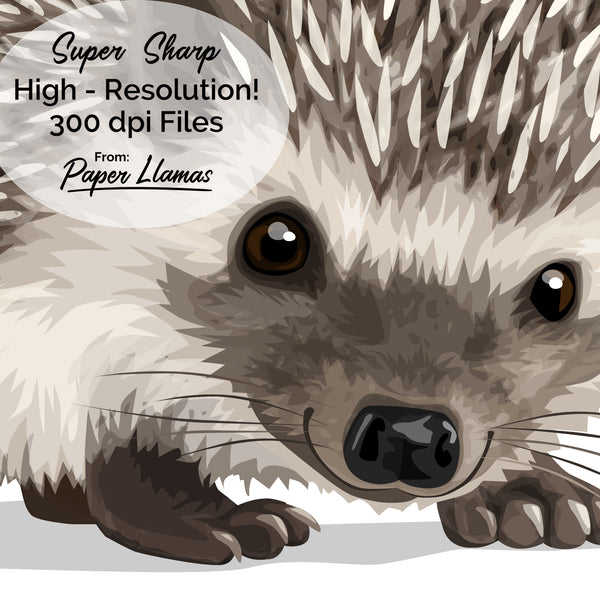 Baby Hedgehog Printable  - baby nursery art from Paper Llamas