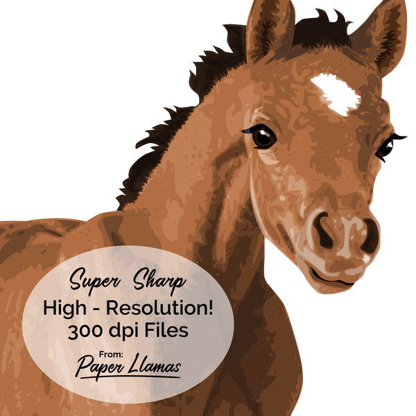 Baby Horse Printable  - baby nursery art from Paper Llamas