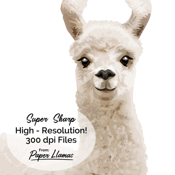Baby Llama Printable  - baby nursery art from Paper Llamas