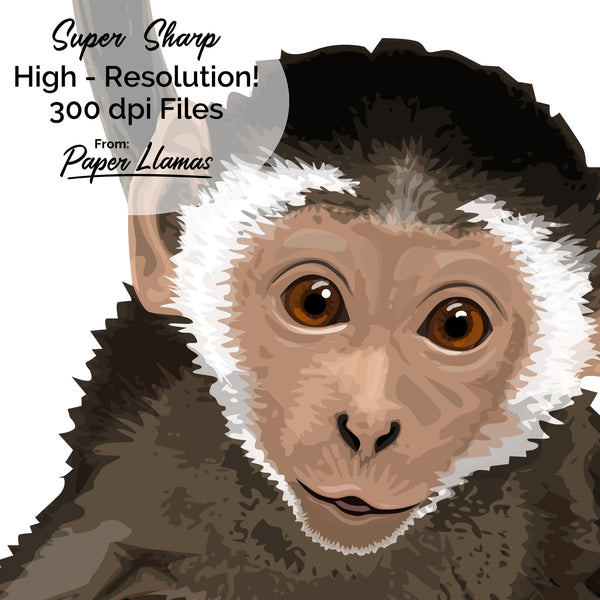 Baby Monkey Printable  - baby nursery art from Paper Llamas