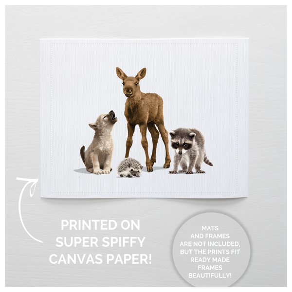 Moose and Friends  - baby nursery art from Paper Llamas