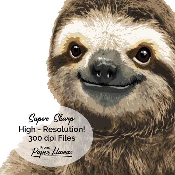 Baby Sloth Printable  - baby nursery art from Paper Llamas