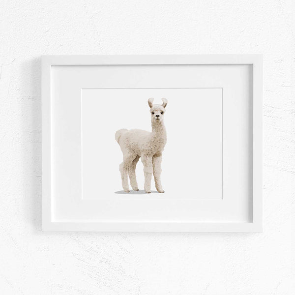 Baby Llama  - baby nursery art from Paper Llamas
