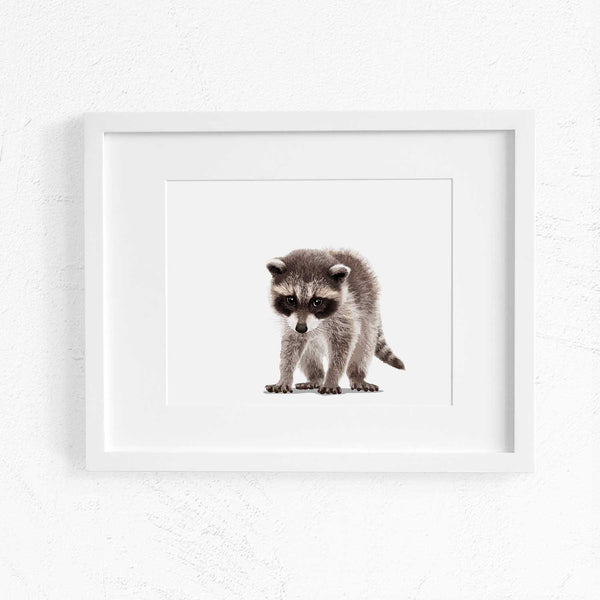 Baby Raccoon Printable  - baby nursery art from Paper Llamas