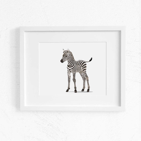 Baby Zebra Printable  - baby nursery art from Paper Llamas