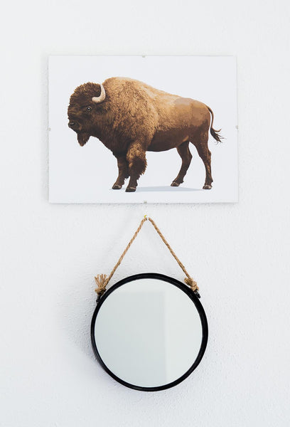 Buffalo  - baby nursery art from Paper Llamas