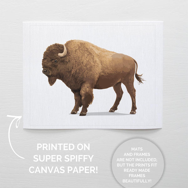 Buffalo  - baby nursery art from Paper Llamas