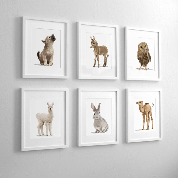 Baby Desert animal collection wolf,horse,owl,llama,bunny,camel  - baby nursery art from Paper Llamas