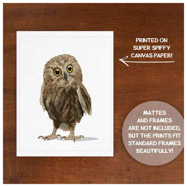 Baby Owl  - baby nursery art from Paper Llamas
