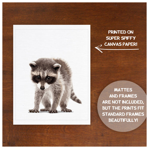Baby Raccoon  - baby nursery art from Paper Llamas