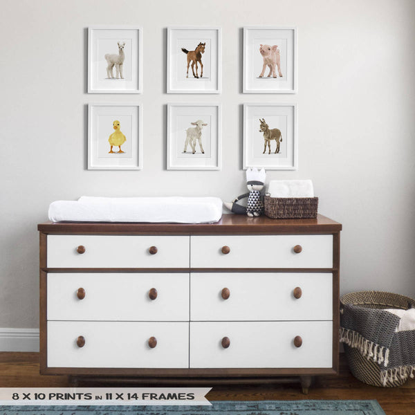 Baby Horse  - baby nursery art from Paper Llamas