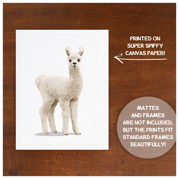 Baby Llama  - baby nursery art from Paper Llamas