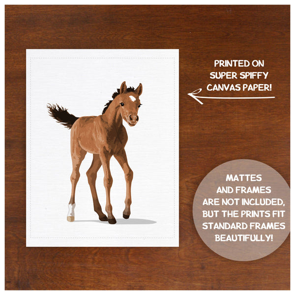 Baby Horse  - baby nursery art from Paper Llamas