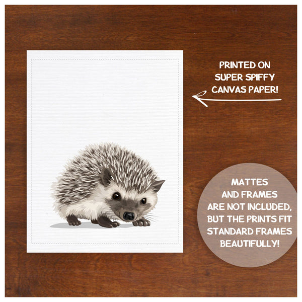 Baby HedgeHog  - baby nursery art from Paper Llamas