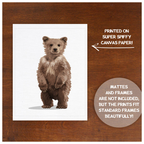 Baby Bear- boy woodland nursery print  from Paper Llamas