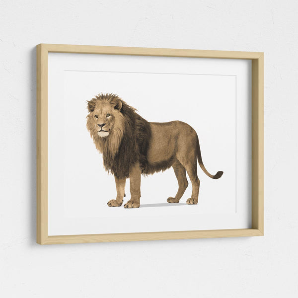 Lion  - baby nursery art from Paper Llamas