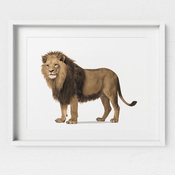 Lion  - baby nursery art from Paper Llamas