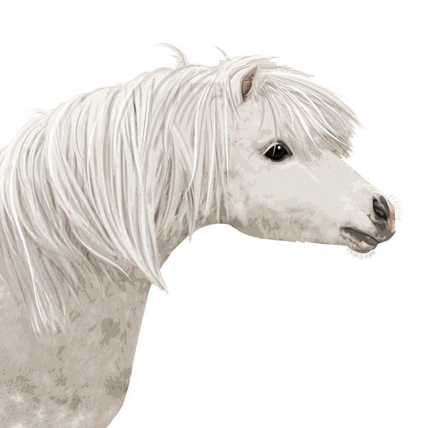 Pony  - baby nursery art from Paper Llamas