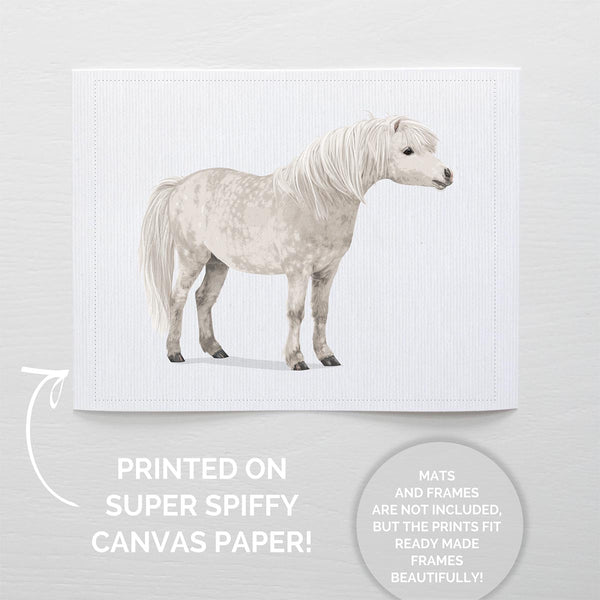 Pony  - baby nursery art from Paper Llamas