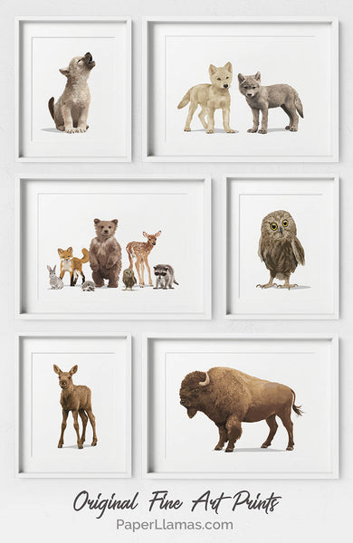 Pair of wolf cubs  - baby nursery art from Paper Llamas