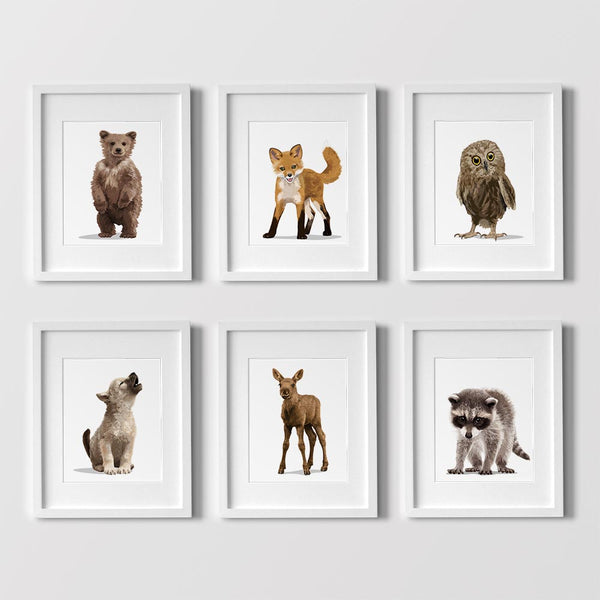 Baby Raccoon Printable  - baby nursery art from Paper Llamas
