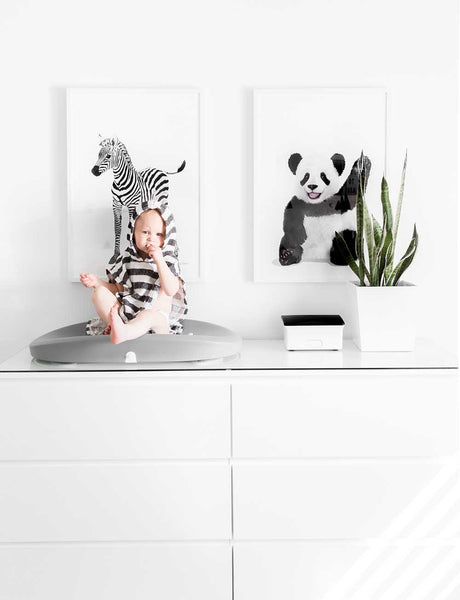 Baby Zebra  - baby nursery art from Paper Llamas