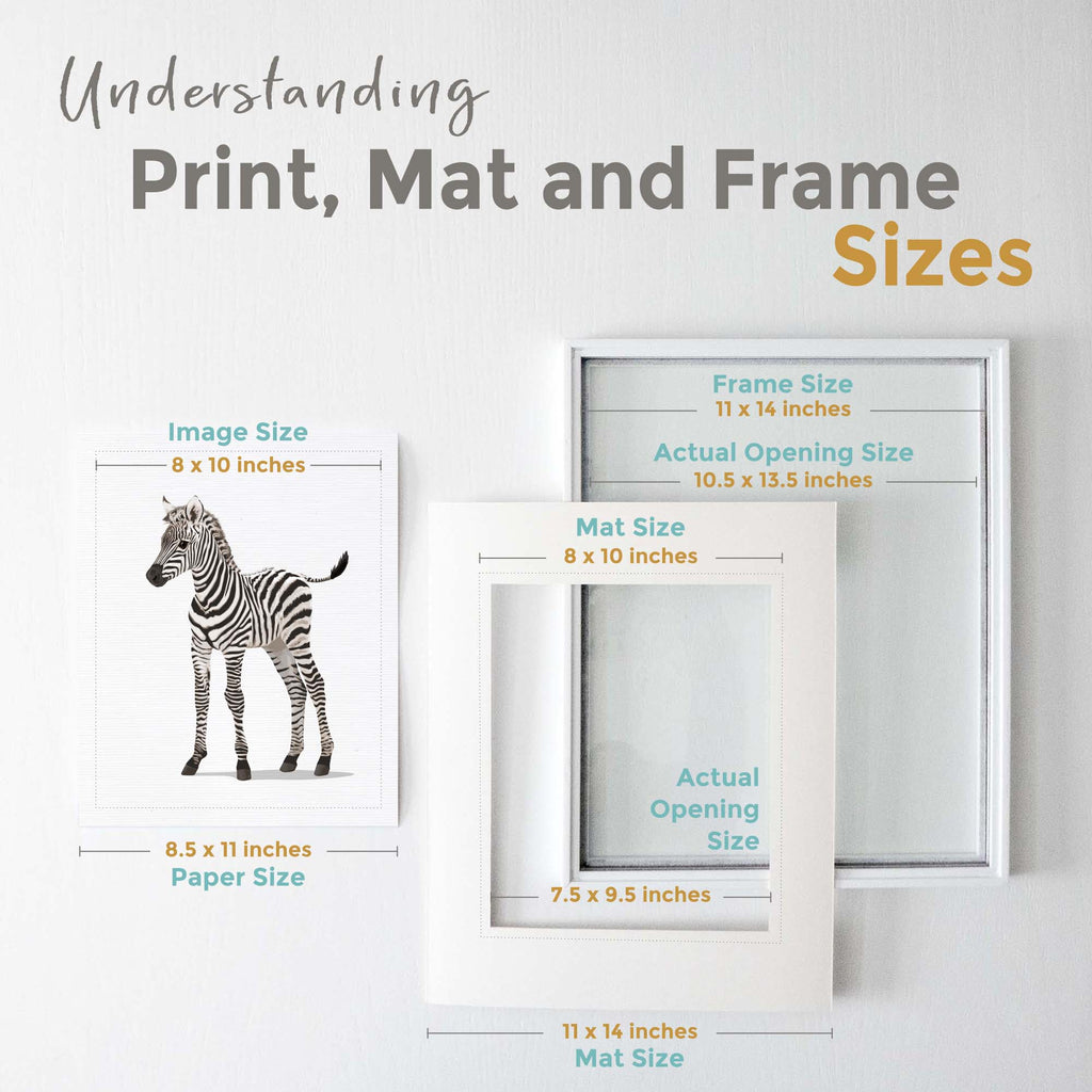 Understanding Print and Frame Size.