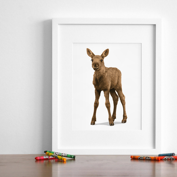 Baby Moose  - baby nursery art from Paper Llamas