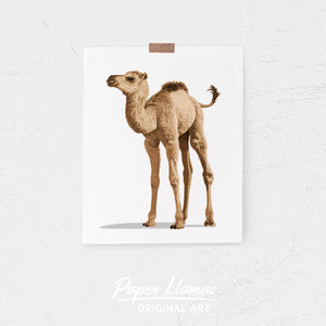Baby Camel Printable  - baby desert nursery art from Paper Llamas