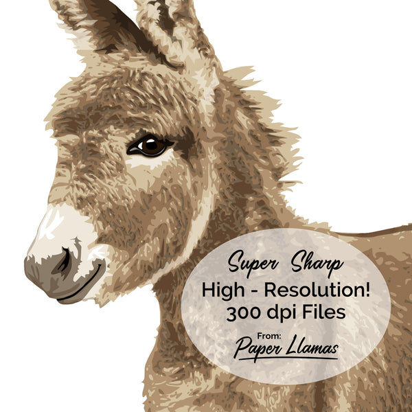 Copy of Donkey Printable  - baby nursery art from Paper Llamas
