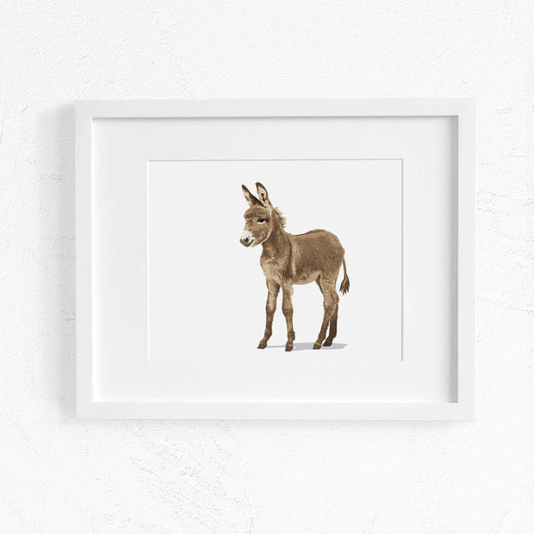 Baby Donkey  - baby nursery art from Paper Llamas