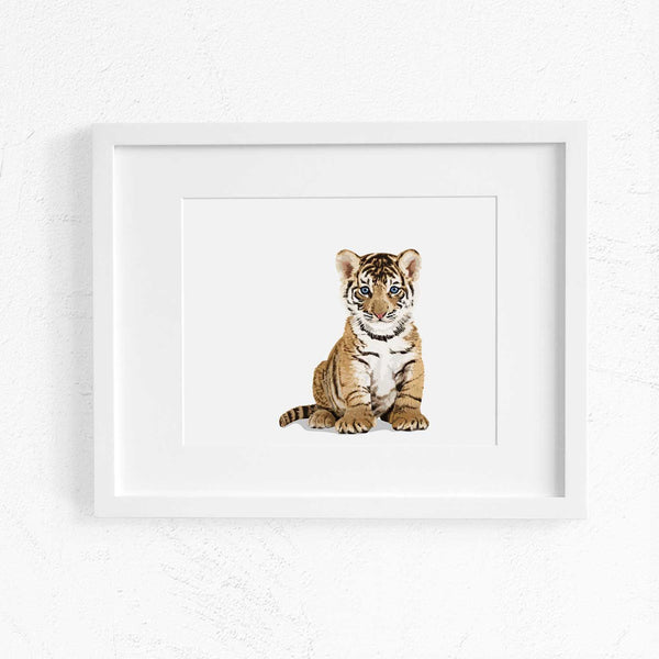 Baby Tiger Printable  - baby nursery art from Paper Llamas