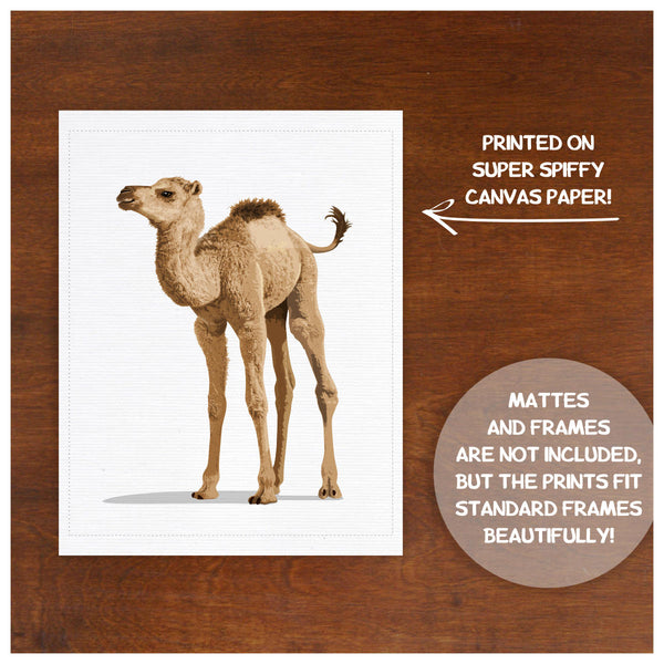 Printed desert Baby Camel  - baby printed artwork from Paper Llamas