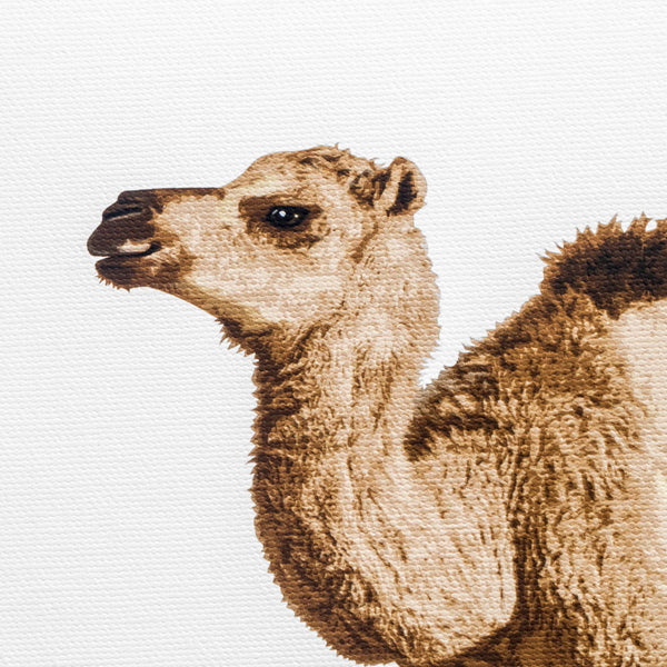 Baby Camel  - printed baby nursery artwork from Paper Llamas