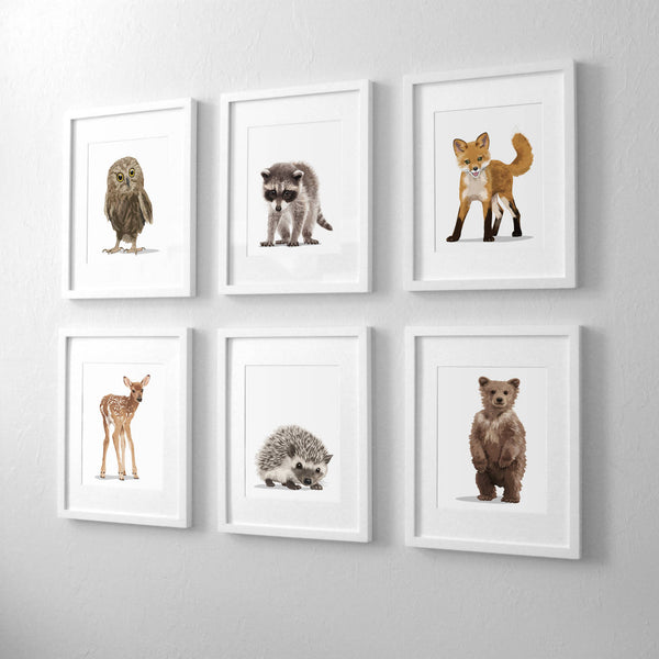 forest animal bear,hedgehog,deer, racoon,owl,fox - woodland  nursery art from Paper Llamas