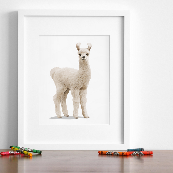 Baby Llama Printable  - baby nursery art from Paper Llamas