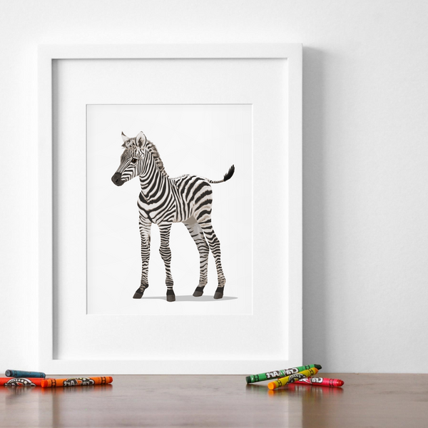 Baby Zebra Printable  - baby nursery art from Paper Llamas